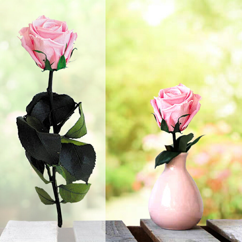【お花の色が選べる】 ジュース 花 ギフトセット フランス アラン・ミリア alain milliat ラズベリー ネクター 330ml プリザーブドフラワー バラ 一輪 ピンク 赤 ノンアル お祝い プレゼント
