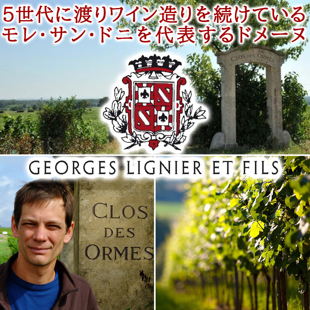 ワインセット2本 高級 ピノ・ノワール 飲み比べ フランス ブルゴーニュ コート・ド・ニュイ モレ・サン・ドニ ドイツ モーゼル 750ml 2種 送料無料