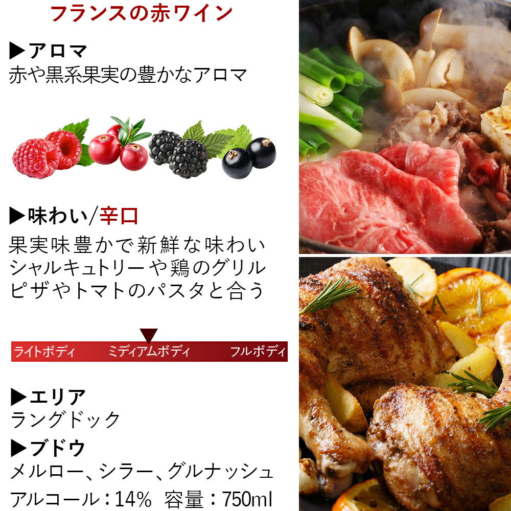 送料無料 ご自宅用 ワイン 5種 飲み比べ フランス 赤 白 ロゼ スパークリング オレンジ ワイン おしゃれ ホームパーティー 詰め合わせ 家飲み 飲み比べ 簡易包装