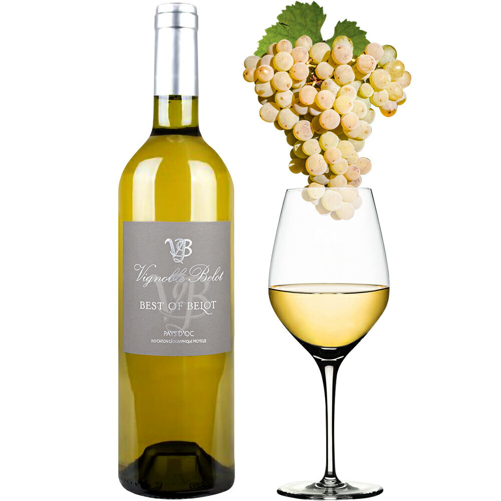 当日配達 紅白 南フランス ベスト・オブ・ベロ 辛口 フルボディ 750ml 2本 シラー グルナッシュ 赤ワイン 白ワイン お酒 贈答 誕生日 内祝い お返し プレゼント 上司 取引先 退職祝い