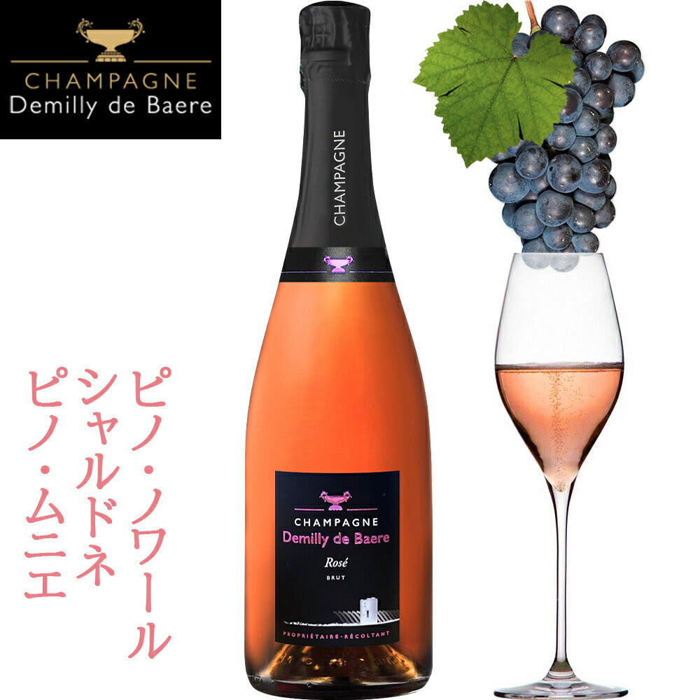御祝い 高級 シャンパン 2本 セット 辛口 750ml フランス ブラン・ド・ノワール ピノ・ノワール シャルドネ ブリュット 白 ロゼ 紅白ワイン お酒 誕生日 プレゼント 明日届く 結婚祝い 結婚記念日 会社 法人 就任祝い 退職祝い 熨斗