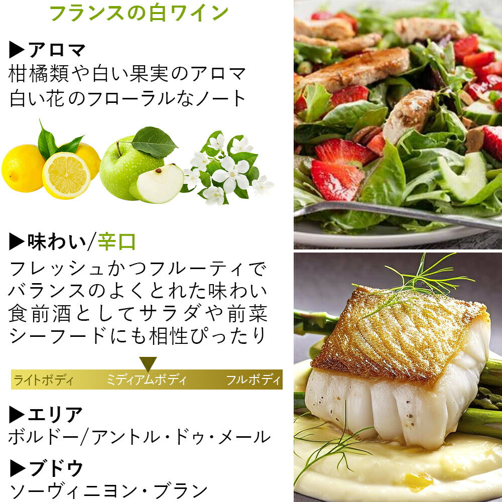 【クール便でお届け】チョコレート ベルギー ワイン ギフト 人気 フランス ボルドー 辛口 白ワイン ギフトセット ラッピング付き 375ml ハーフボトル ソーヴィニヨン・ブラン スイーツ お菓子 プレゼント 誕生日