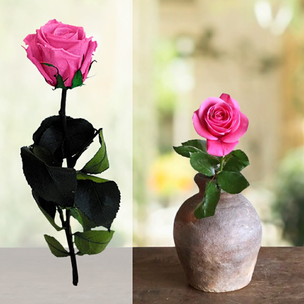 【お花の色が選べる】 ジュース 花 ギフトセット フランス アラン・ミリア alain milliat ラズベリー ネクター 330ml プリザーブドフラワー バラ 一輪 ピンク 赤 ノンアル お祝い プレゼント