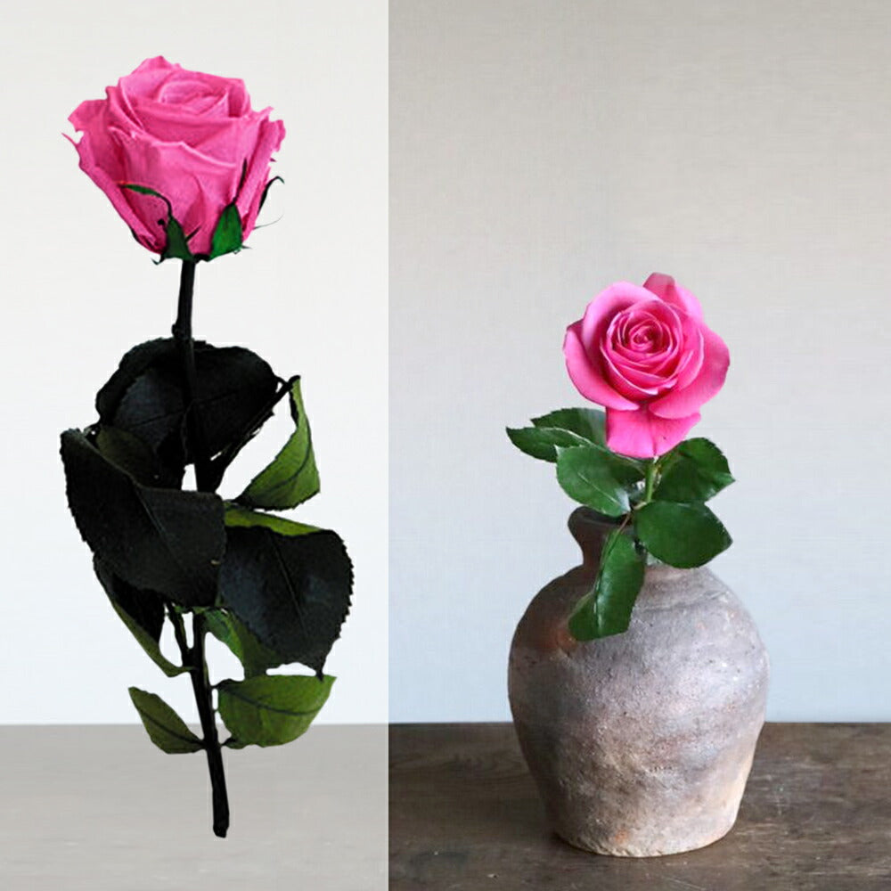 当日配達 お花 プレゼント シャンパン 辛口 ロゼ シャンパーニュ セニエ製法 ハーフボトル 375ml ピンク バラ プリザーブドフラワー フランス 誕生日 結婚祝い 女性 ギフト