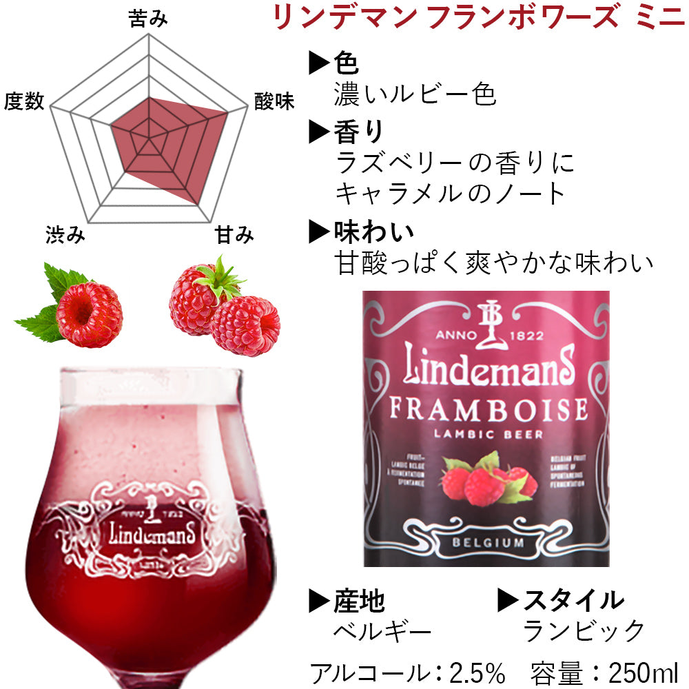 御祝い 記念日 ビール ギフト フルーツビール 詰め合わせ ギフト ベルギー ランビック リンデマンス セントルイス 250ml 8本 セット フランボワーズ カシス ラズベリー チェリー ピーチ ギフト箱付 結婚内祝い 出産内祝い 退職祝い 熨斗可 送料無料