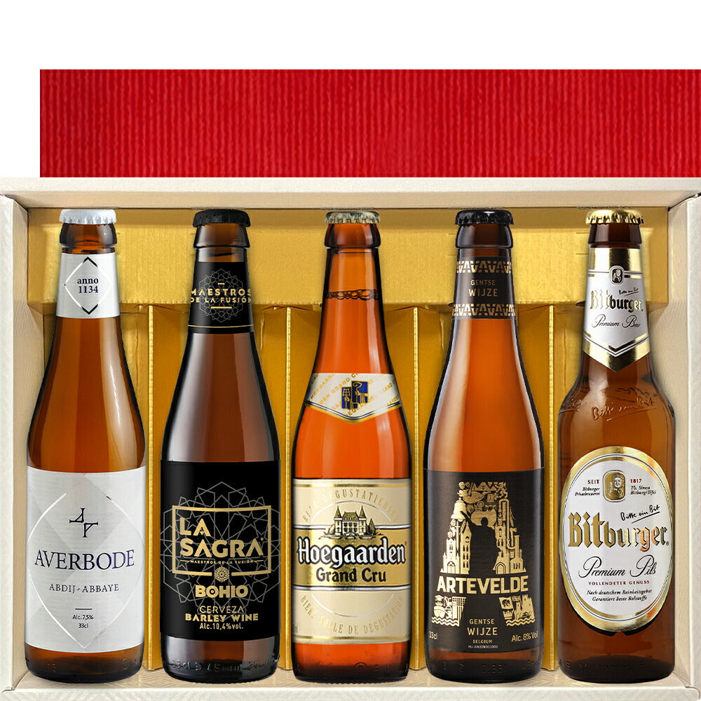 御祝い 記念日 ビール セット 贈り物 クラフト ビール 5本 飲み比べ ギフト プレゼント セット ヨーロッパ ドイツ ベルギー スペイン 海外ビール 輸入ビール おしゃれ パーティー 誕生日 ホームパーティー バーベキュー グルメ 送料無料