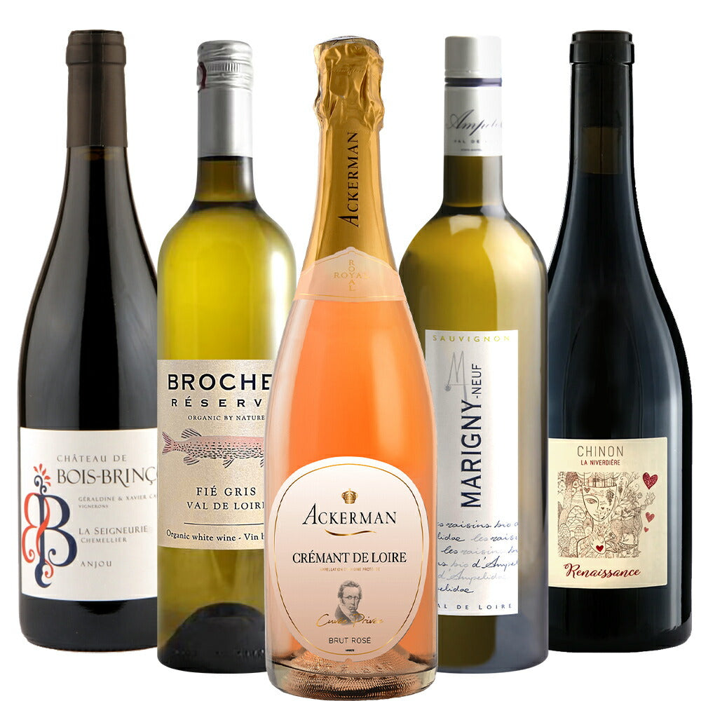 即日発送 ワインセット フランス ロワール 赤白泡 750ml × 5本 赤ワイン 白ワイン スパークリングワイン オーガニック BIO ビオワイン 飲み比べ 詰め合わせ 自宅用 《ギフト対応》 お酒 家飲み 宅飲み お祝い PREMIUM パーティー