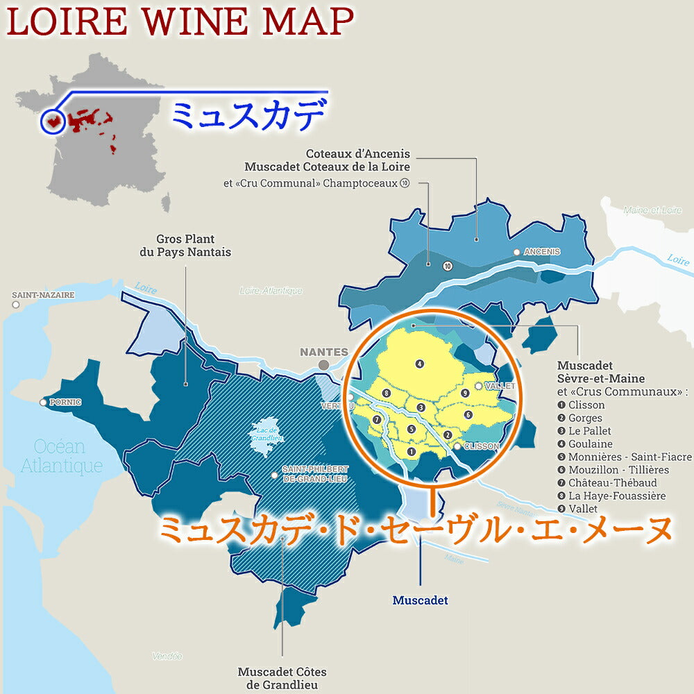 ホワイトデー お返し お酒 ワイン ギフト 白ワイン フランス ロワール ミュスカデ・セーヴル・エ・メーヌ 白 辛口 750ml ムロン・ド・ブルゴーニュ オーガニック 贈りもの 贈答 プレゼント 誕生日 内祝 退職祝い 引越し祝い おしゃれ 送料無料