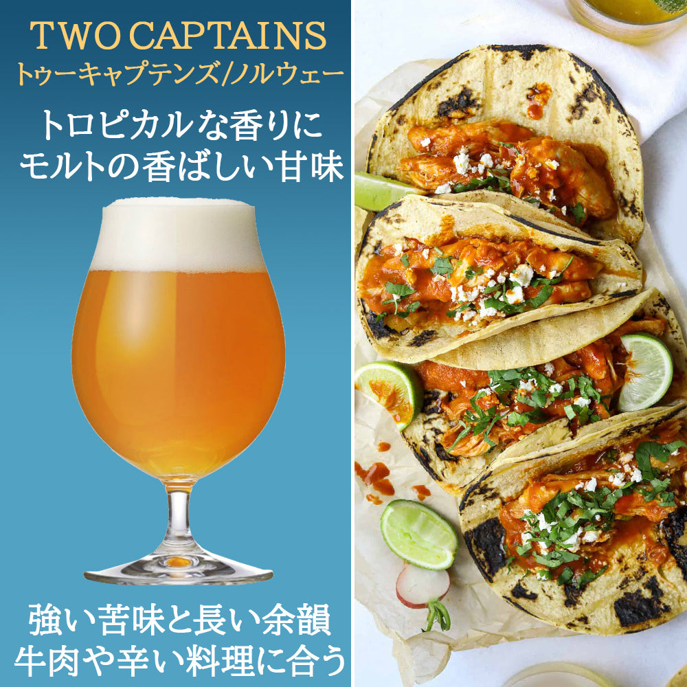 記念日 御祝い ギフト ヨーロッパ 5カ国のビール 詰め合わせ 5本セット【無料 ギフト箱 リボンラッピング】ドイツ ベルギー フランス イタリア ノルウェー 飲み比べ 送料無料
