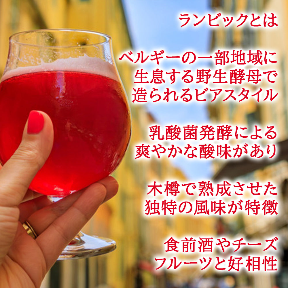 ビール ギフト クラフトビール 2本セット ギフト箱付き 330ml ベルギー ブロンド エール チェリー ランビック 詰め合わせ 海外ビール 輸入ビール ギフト 誕生日 プレゼント 内祝い お祝い お返し 家族 男性 女性 送料無料