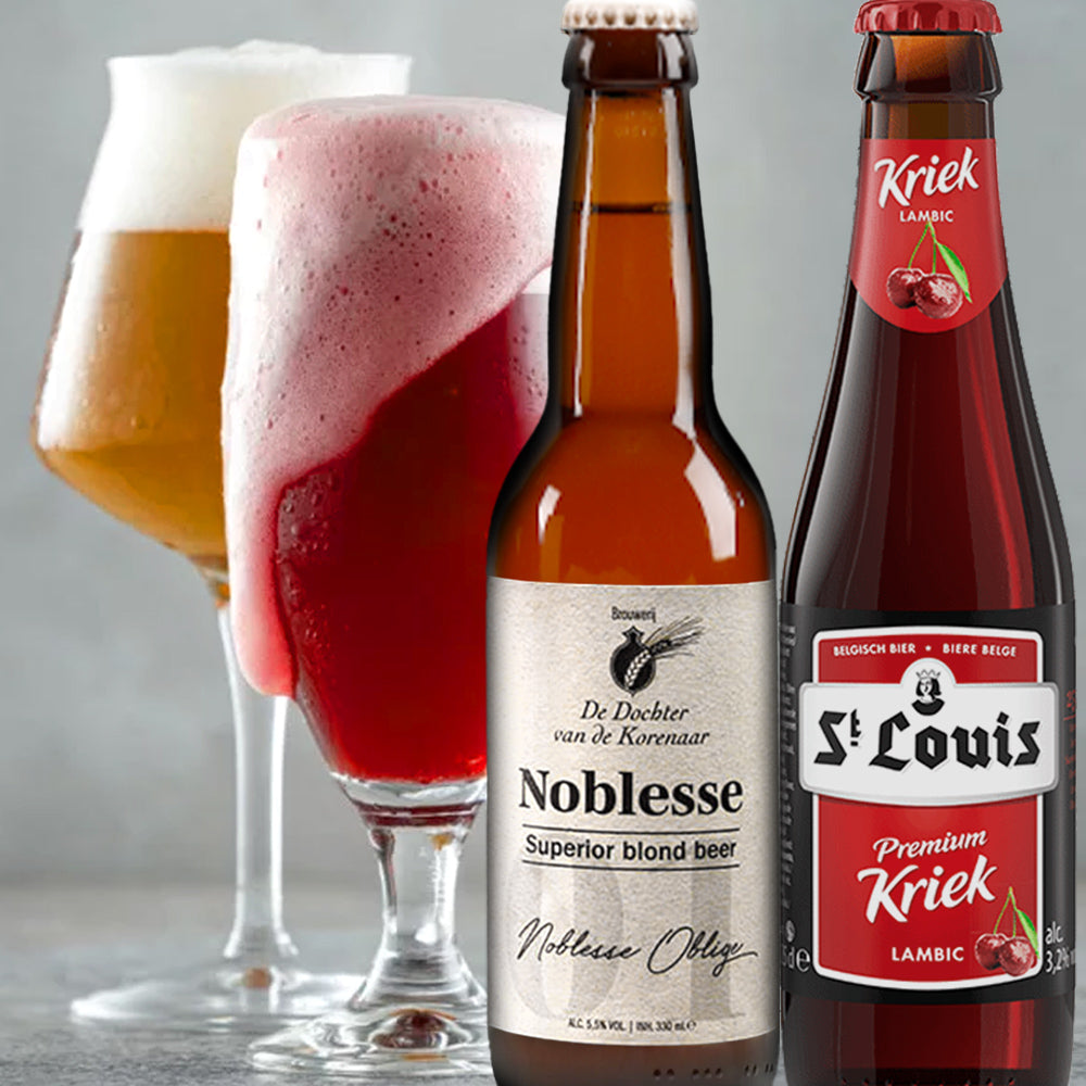 ビール ギフト クラフトビール 2本セット ギフト箱付き 330ml ベルギー ブロンド エール チェリー ランビック 詰め合わせ 海外ビール 輸入ビール ギフト 誕生日 プレゼント 内祝い お祝い お返し 家族 男性 女性 送料無料