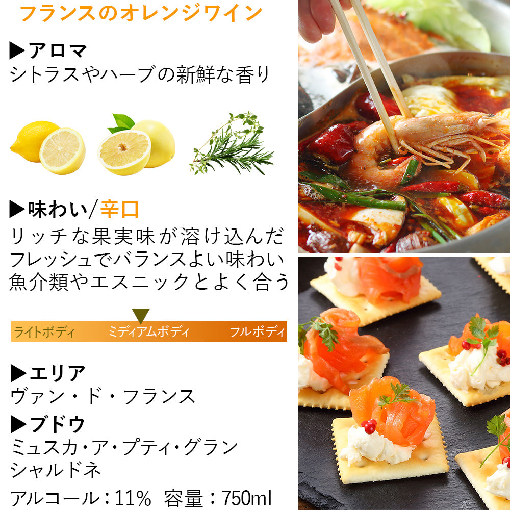 送料無料 ご自宅用 ワイン 5種 飲み比べ フランス 赤 白 ロゼ スパークリング オレンジ ワイン おしゃれ ホームパーティー 詰め合わせ 家飲み 飲み比べ 簡易包装