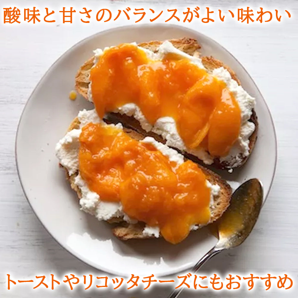 ビールとジャム スイーツギフト クラフトビール ベルギー チェリー ジャムセット ギフト箱付き ランビック ワイルドエール 250ml フランス コンポート アプリコット あんず チーズ 合う お酒 グルメ 食品 食べ物 ギフト箱付 プレゼント 誕生日 内祝い 家族 友人 男性 女性 送料無料