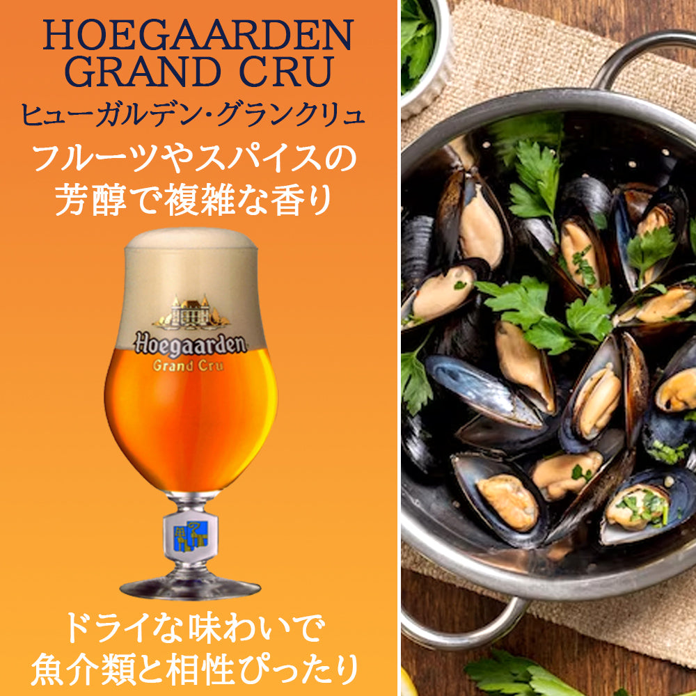 ビールギフト ドイツビール 飲み比べ クラフトビール ラガー ヒューガルデン・グランクリュ 330ml 2本セット 地ビール 海外ビール 輸入ビール 詰め合わせ ギフト箱付 メッセージカード 誕生日 お祝い お返し 送料無料