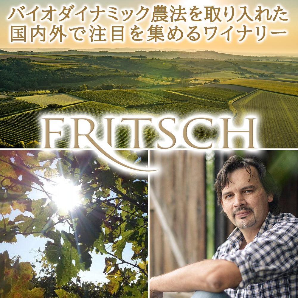 高級 ピノ・ノワール ワイン飲み比べ 6本セットフランス ブルゴーニュ イタリア オーストリア オーストラリア 750ml ホーム―ティー 忘年会 送別会 クリスマスパーティ 新年会 女子会 送料無料