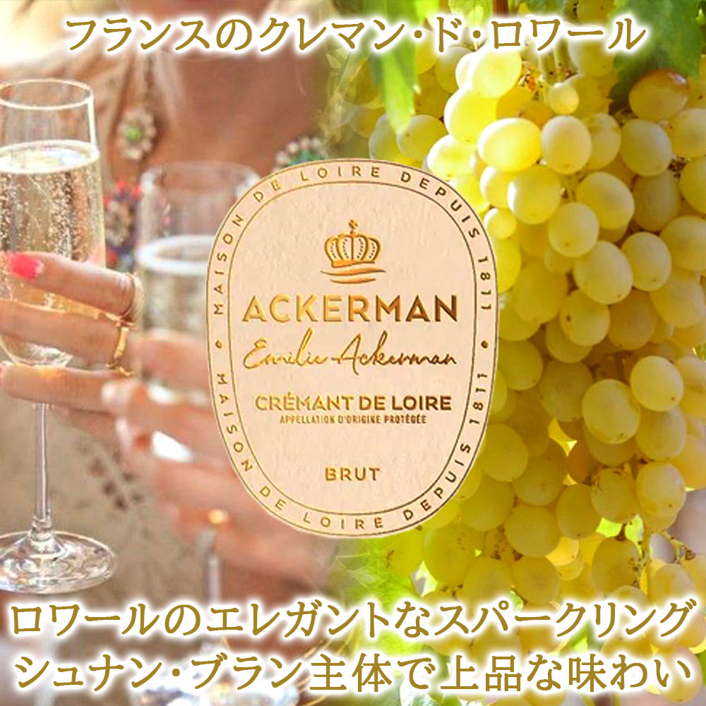 お祝い 記念日 ワインギフト 【無料 リボンラッピング メッセージカード】フランス スパークリング 辛口 ロワール 750ml おしゃれ 女性喜ぶ お祝い お礼 お返し 結婚祝い 結婚内祝い 内祝 御礼 御祝 女性 妻 母