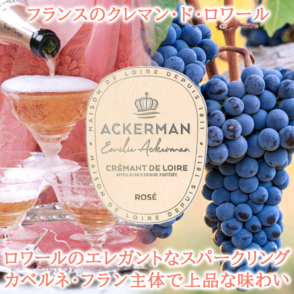 御祝 記念日 誕生日 プレゼント 即日発送 フランス スパークリング 辛口 ロゼ スパークリングワイン ロワール 750ml ギフト箱 リボン包装付き ワインギフト おしゃれ 女性喜ぶ お祝い お礼 お返し 内祝い 誕生日 プレゼント 結婚祝い 就職祝い 母の日 女性 お母さん 妻 友達 退職祝い 送料無料