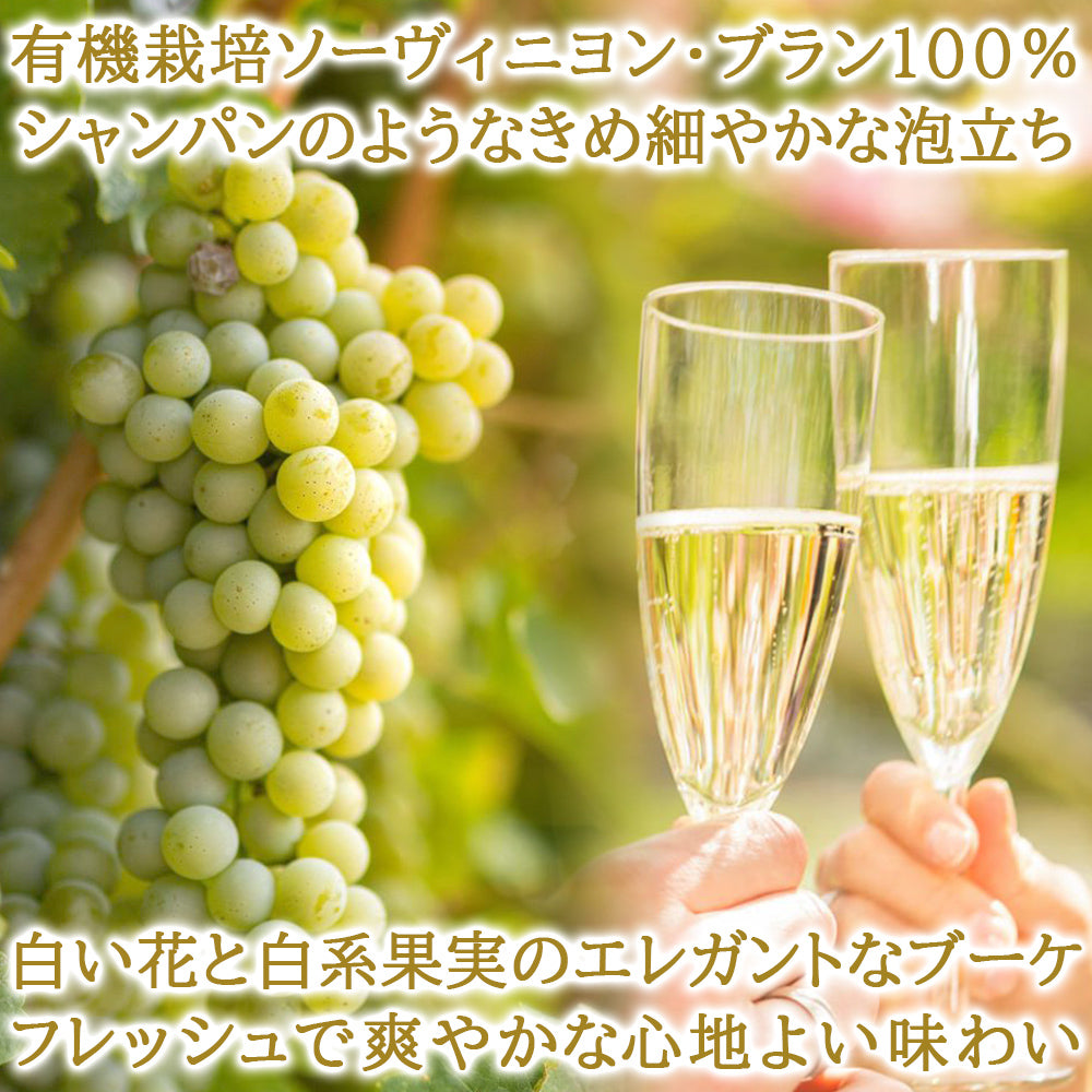 記念日 御祝い プレゼント ノンアルコール スパークリング ワイン おしゃれ 2本 ギフトセット フランス プロヴァンス オーガニック 当日出荷 プレミアム 減圧蒸留 750ml 果物 誕生日 プレゼント 母の日 出産内祝い 結婚内祝い お返し 女性 おしゃれ お返し 就職 退職祝い