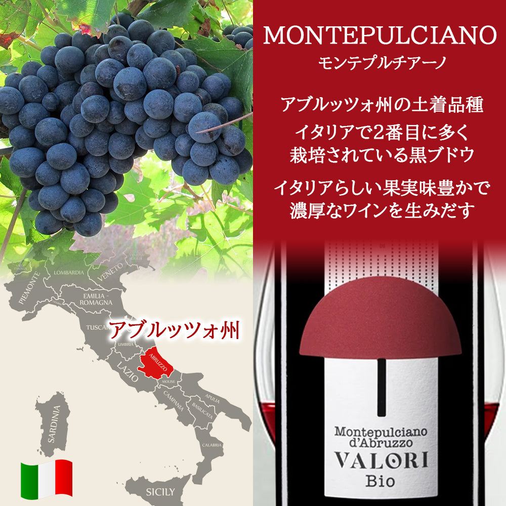 イタリア ワイン 紅白 2本セット【無料 ギフト箱 熨斗包装 メッセージカード】赤ワイン モンテプルチアーノ 白ワイン ペコリーノ DOC ビオ ヴァロリ 750ml おしゃれ 誕生日 記念日 内祝 御祝 還暦 退職祝 送料無料
