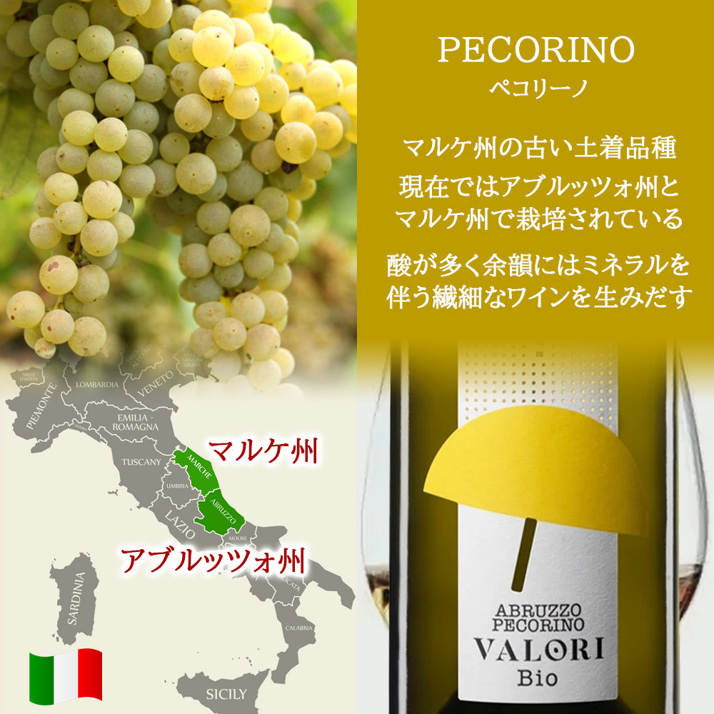 イタリア ワイン 紅白 2本セット【無料 ギフト箱 熨斗包装 メッセージカード】赤ワイン モンテプルチアーノ 白ワイン ペコリーノ DOC ビオ ヴァロリ 750ml おしゃれ 誕生日 記念日 内祝 御祝 還暦 退職祝 送料無料