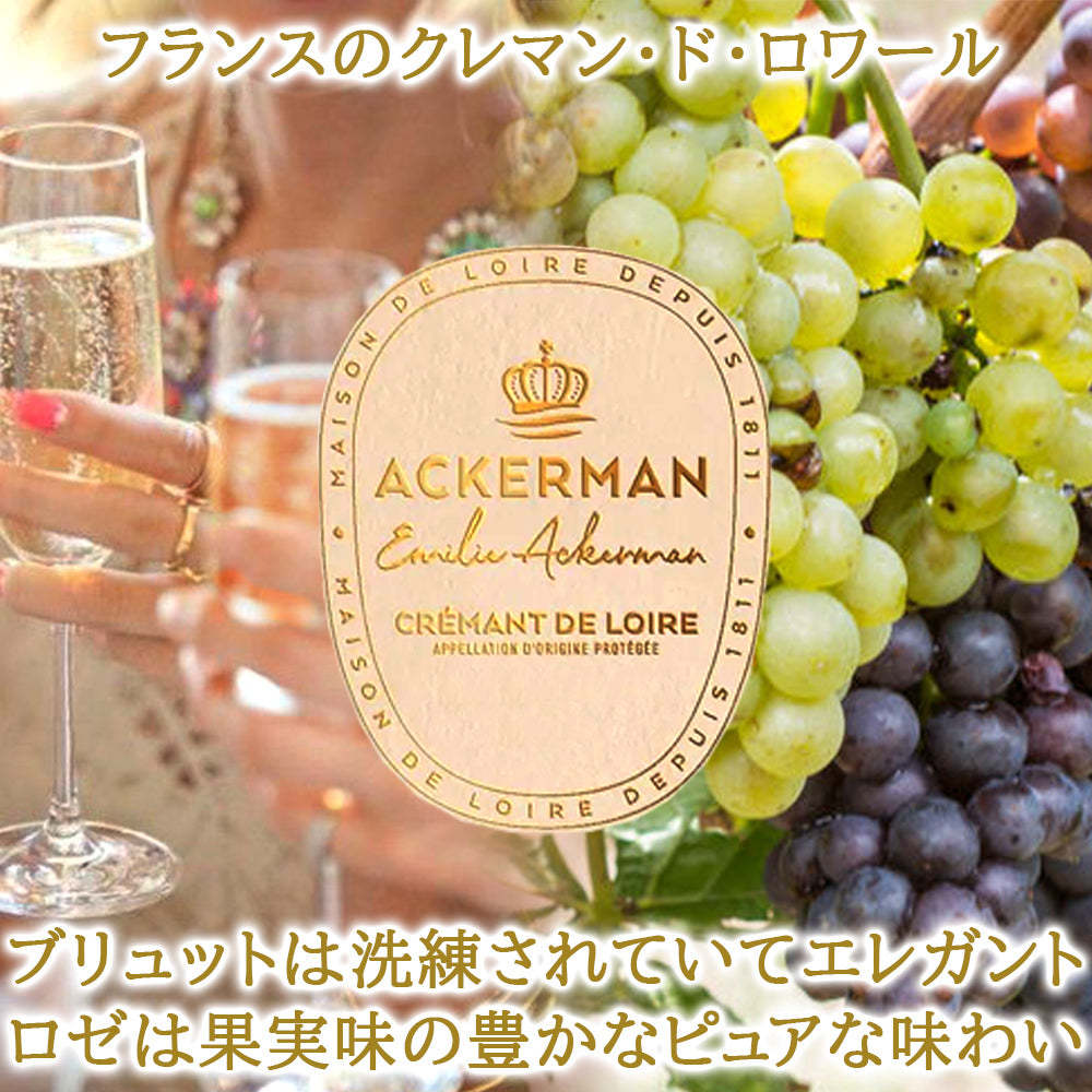 フランス スパークリング 紅白 辛口 ロゼ スパークリングワイン クレマン ド ロワール 750ml ギフト箱 包装紙付き ワインギフト 結婚祝い 就職祝い 退職祝い 内祝 還暦 退職御祝 女性 男性 送料無料