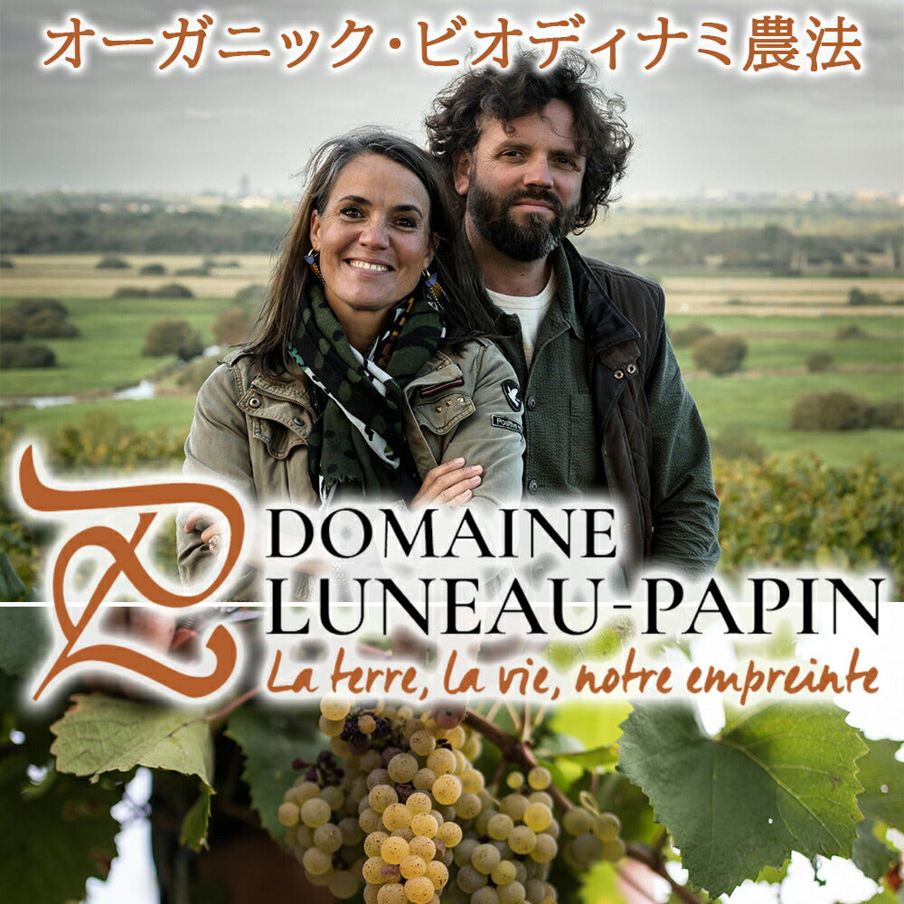 ホワイトデー お返し お酒 ワイン ギフト 白ワイン フランス ロワール ミュスカデ・セーヴル・エ・メーヌ 白 辛口 750ml ムロン・ド・ブルゴーニュ オーガニック 贈りもの 贈答 プレゼント 誕生日 内祝 退職祝い 引越し祝い おしゃれ 送料無料