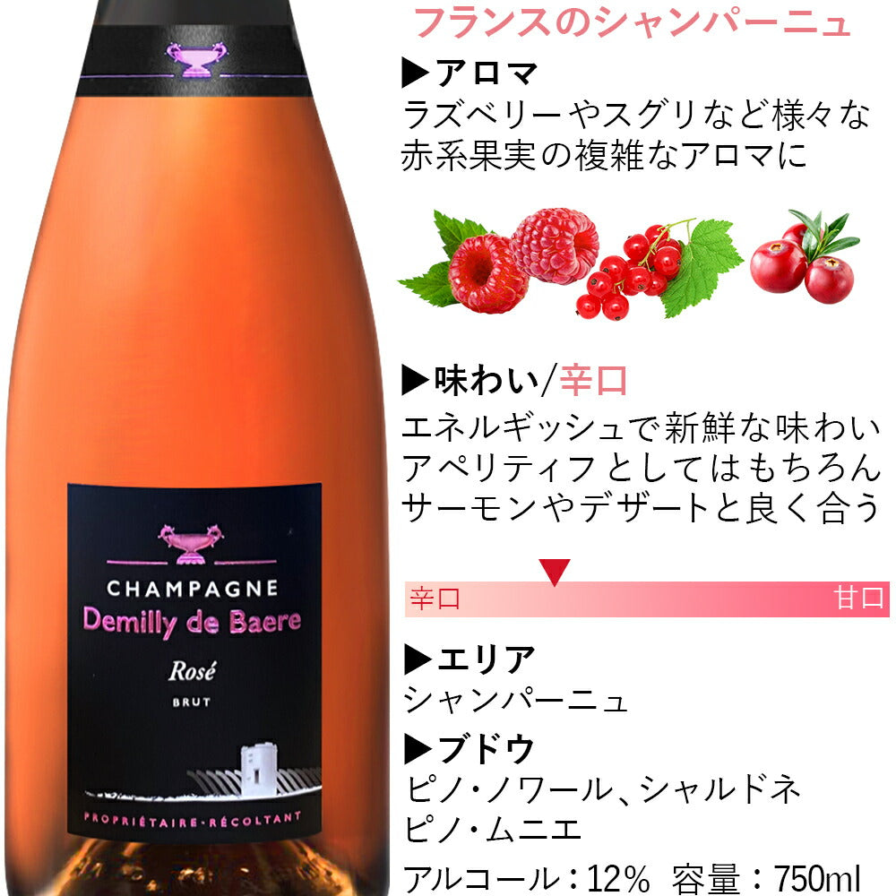 御祝い 高級 シャンパン 2本 セット 辛口 750ml フランス ブラン・ド・ノワール ピノ・ノワール シャルドネ ブリュット 白 ロゼ 紅白ワイン お酒 誕生日 プレゼント 明日届く 結婚祝い 結婚記念日 会社 法人 就任祝い 退職祝い 熨斗