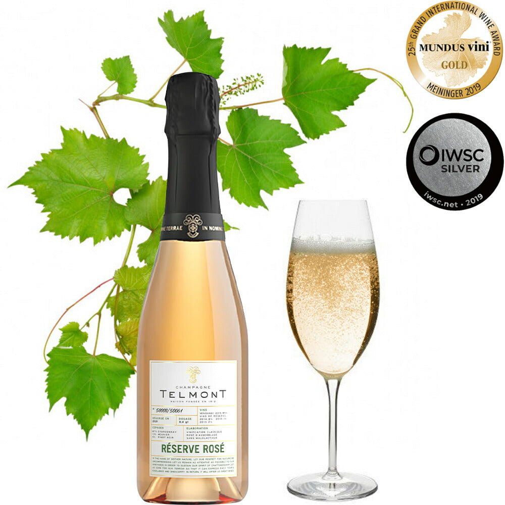 シャンパン 紅白 2本 シャンパン ロゼシャンパン 赤白セット フランス シャンパーニュ 白ワイン ロゼ 辛口 375ml ハーフボトル テルモン ワイン ワインセット