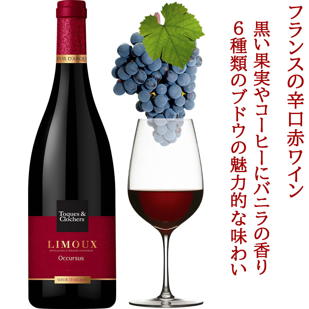 赤ワイン 白ワイン 紅白ワイン 赤白セット フランス 白ワイン 辛口 750ml シュール・ダルク・トック・エ・クロシェ ワイン ワインセット 2本