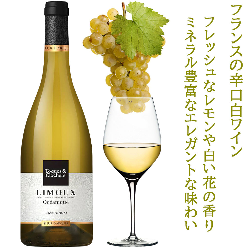 赤ワイン 白ワイン 紅白ワイン 赤白セット フランス 白ワイン 辛口 750ml シュール・ダルク・トック・エ・クロシェ ワイン ワインセット 2本