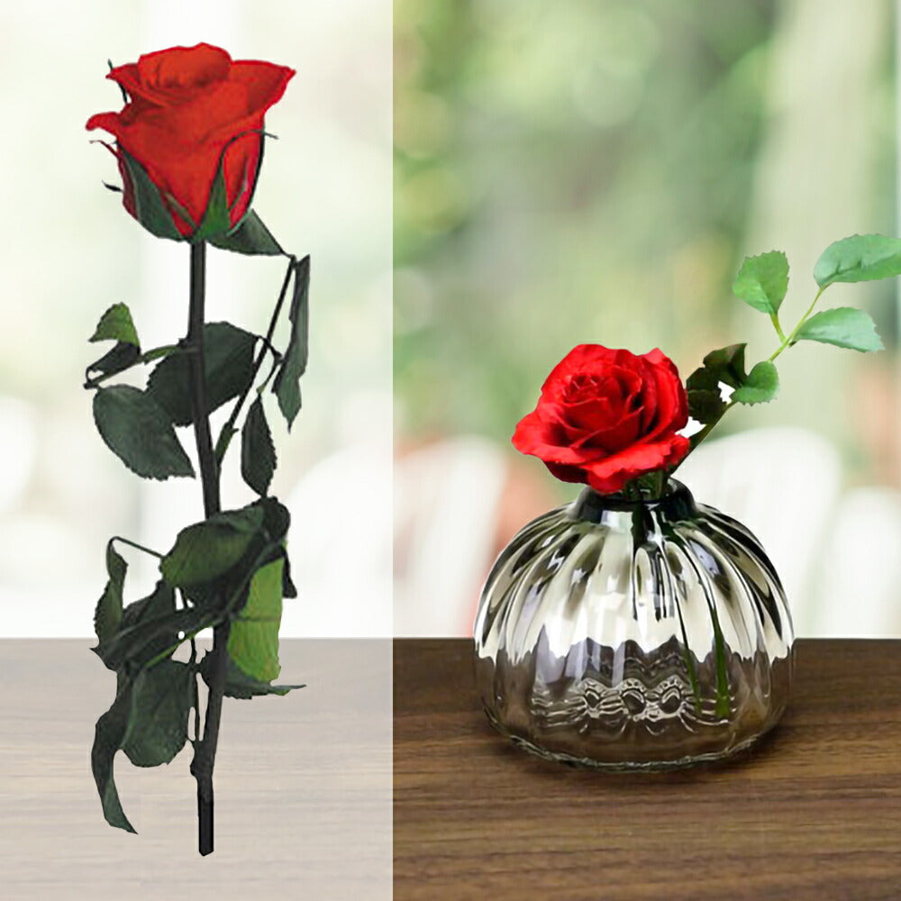 【お花の色が選べる】 ジュース 花 ギフトセット フランス アラン・ミリア alain milliat ラズベリー ネクター 330ml プリザーブドフラワー バラ 一輪 ピンク 赤 ノンアル お祝い プレゼント