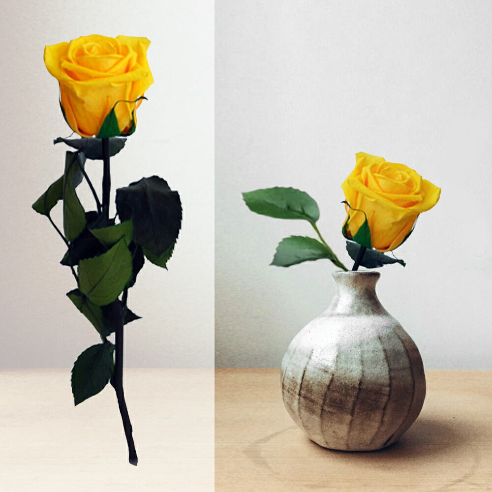 明日届く ワイン 花 セット ワインとお花のギフト 白ワイン ドイツ ショイレーベ やや甘口 750ml プリザーブドフラワー 黄色 バラ 一輪 ドイツワイン フラワーギフト 記念日 誕生日 プレゼント おじいちゃん おばあちゃん おしゃれ