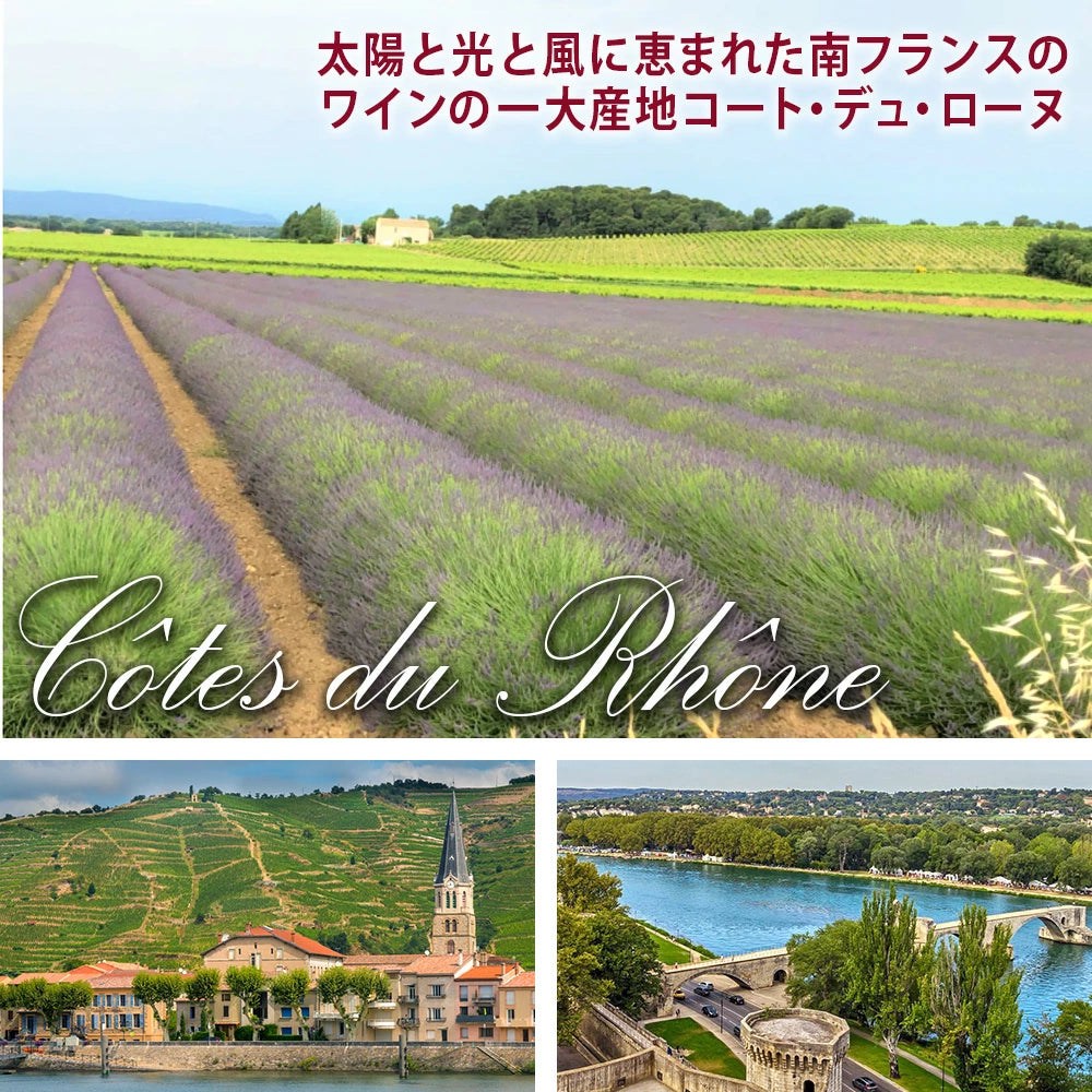 赤ワイン オーガニックワイン ビオ ワイン フランス ローヌ BIO 2014年 赤ワイン 辛口 750ml ラオ・ミューズ ワイン ワインセット