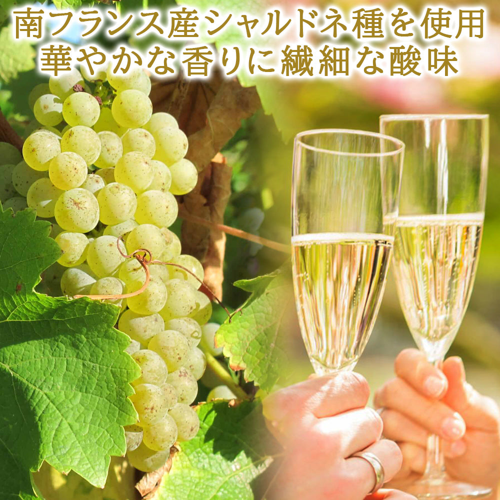 暑中見舞い ノンアルコール ジュース ギフト フランス「アラン・ミリア」シャルドネ スパークリング 750ml お返し 御礼 夏ギフト