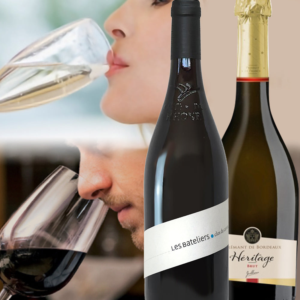 赤ワイン スパークリングワイン 紅白ワイン 飲み比べ 赤白セット フランス クレマン・ド・ボルドー ビオ BIO 赤ワイン 白ワイン 辛口 750ml ワイン ワインセット 2本