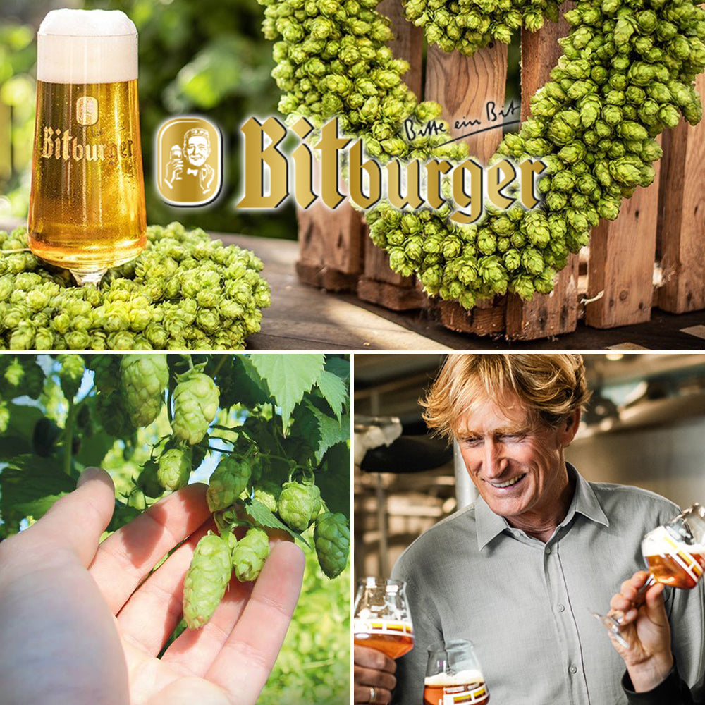 【ビールとお花】ドイツのクラフトビール『ビットブルガー』330ml×1本＆黄色いバラのプリザーブドフラワー