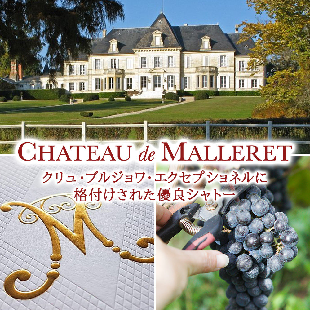 高級 紅白ワイン 秋ギフト ボルドー 赤ワイン 白ワイン 2本 ギフトセット フランス オー・メドック クリュ・ブルジョワ・エクセプショネル 750ml