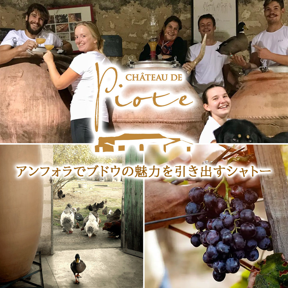 ワイン ギフト 紅白ワイン フランス ボルドー ナチュール 自然派 ビオディナミ メルロー ソーヴィニョン・ブラン 赤 白 辛口 2本 750ml お酒 赤ワイン 白ワイン シャトー・ド・ピオット 御中元 贈答 お祝 お礼 プレゼント 誕生日 内祝い のし