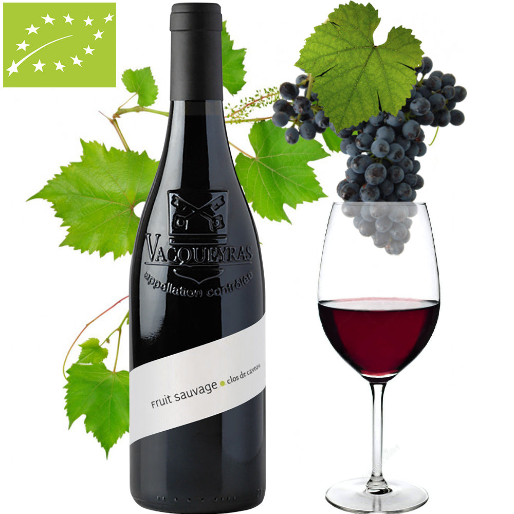 自然派ワイン 赤ワイン 2本 赤ワイン フランス ローヌ オーガニック ビオ BIO 2017 2019 辛口 750ml ワイン ワインセット