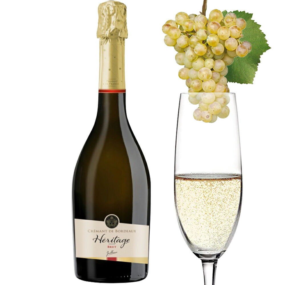 赤ワイン スパークリングワイン 紅白ワイン 飲み比べ 赤白セット フランス クレマン・ド・ボルドー ビオ BIO 赤ワイン 白ワイン 辛口 750ml ワイン ワインセット 2本