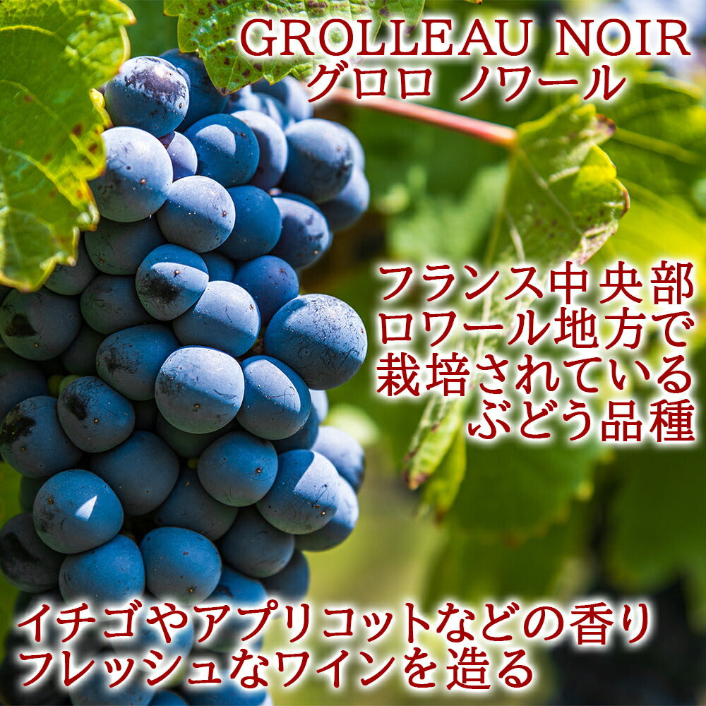 花 ワイン ブランド マキシム・ド・パリ ロゼワイン プリザーブドフラワー ワイン フラワー フランス 辛口 750ml フラワーボックス アレンジメント ピンク バラ