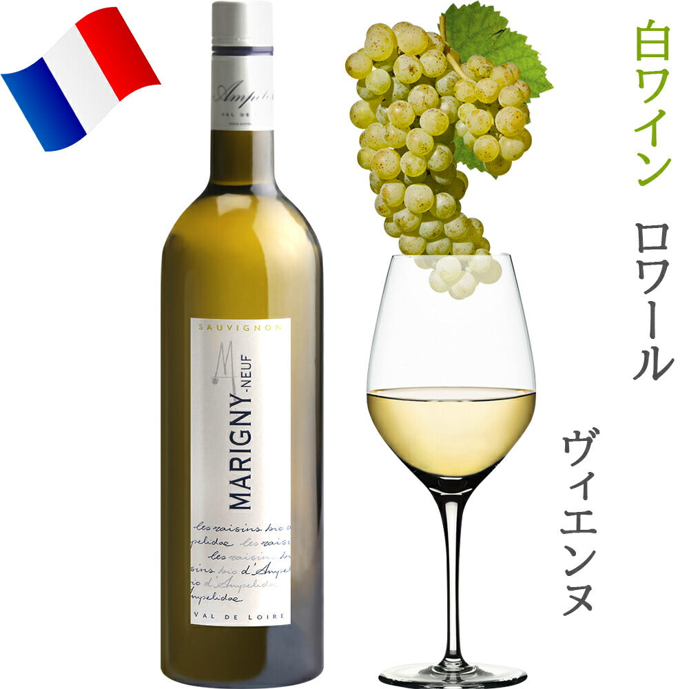 ワインセット フランス ロワール 赤白泡 750ml × 5本 赤ワイン 白ワイン スパークリングワイン オーガニック BIO ビオワイン 飲み比べ 詰め合わせ 自宅用 《ギフト対応》 お酒 家飲み 宅飲み お祝い PREMIUM パーティー