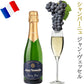 年末年始 忘年会 新年会 シャンパーニュ ハーフボトル 375ml 6本 白 ロゼ 辛口 「マキシム・ド・パリ」 「テルモン」 「デュヴァル・ルロワ」 「ジャン・ヴェッセル 」