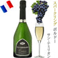 ボルドー ワインセット BORDEAUX 5本 フランス 赤ワイン 白ワイン スパークリング 飲み比べ 750ml×5本 辛口 赤ワイン 白ワイン スパークリング