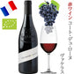 グラス 自然派 オーガニックワイン ワイン グラス 赤ワイン フランス ローヌ 辛口 750ml ビオワイン BIO ドイツ シュピゲラウ ワイングラス 2脚