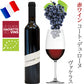 お歳暮 お酒 シャンパン 自然派 赤ワイン 2本 ギフト フランス パーカーポイント高得点 シャンパーニュ プルミエ・クリュ ローヌ オーガニック ビオ BIO 赤 泡 辛口 500ml 375ml ハーフボトル 誕生日 プレゼント クリスマス ワインセット 内祝い お返し 退職祝い