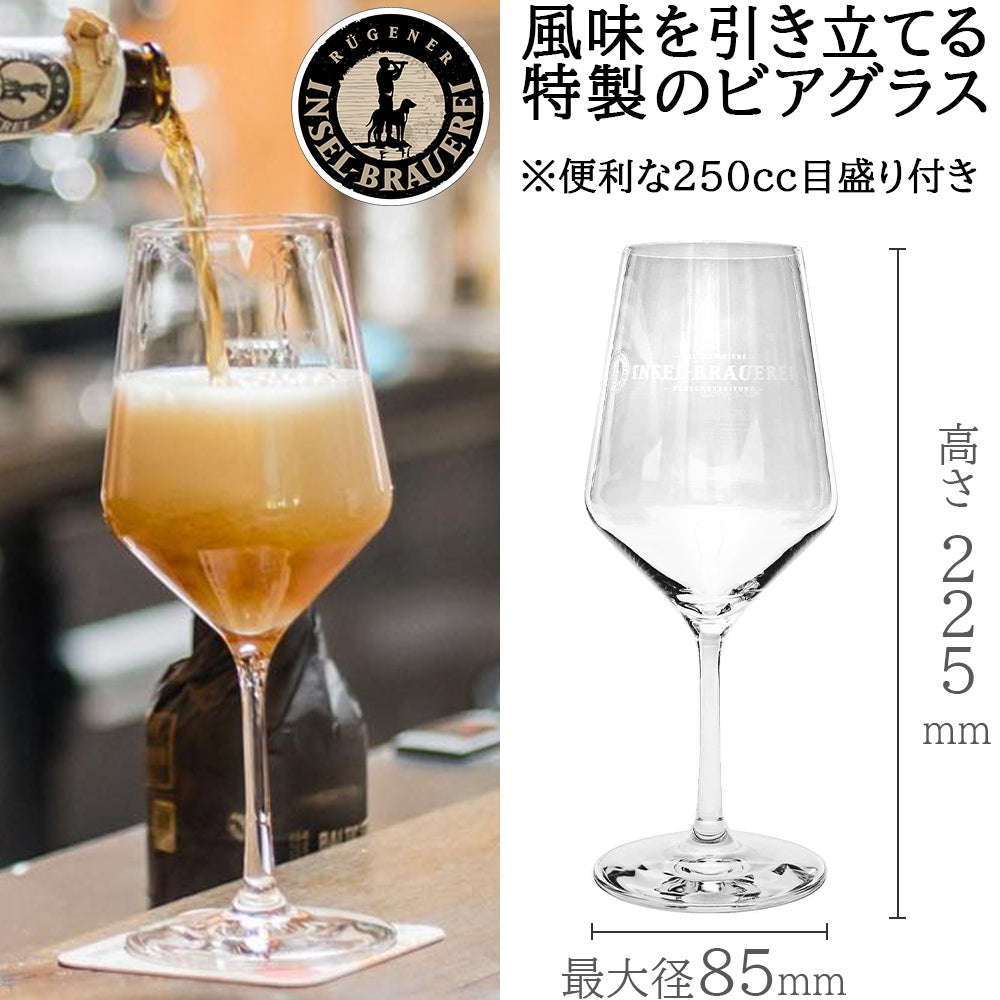 【期間限定】クラフトビール 10本 グラス 2脚 飲み比べセット IPA ESB フェストビア セゾン サワー ラガー ドイツ 珍しい おしゃれ パーティー 海外ビール