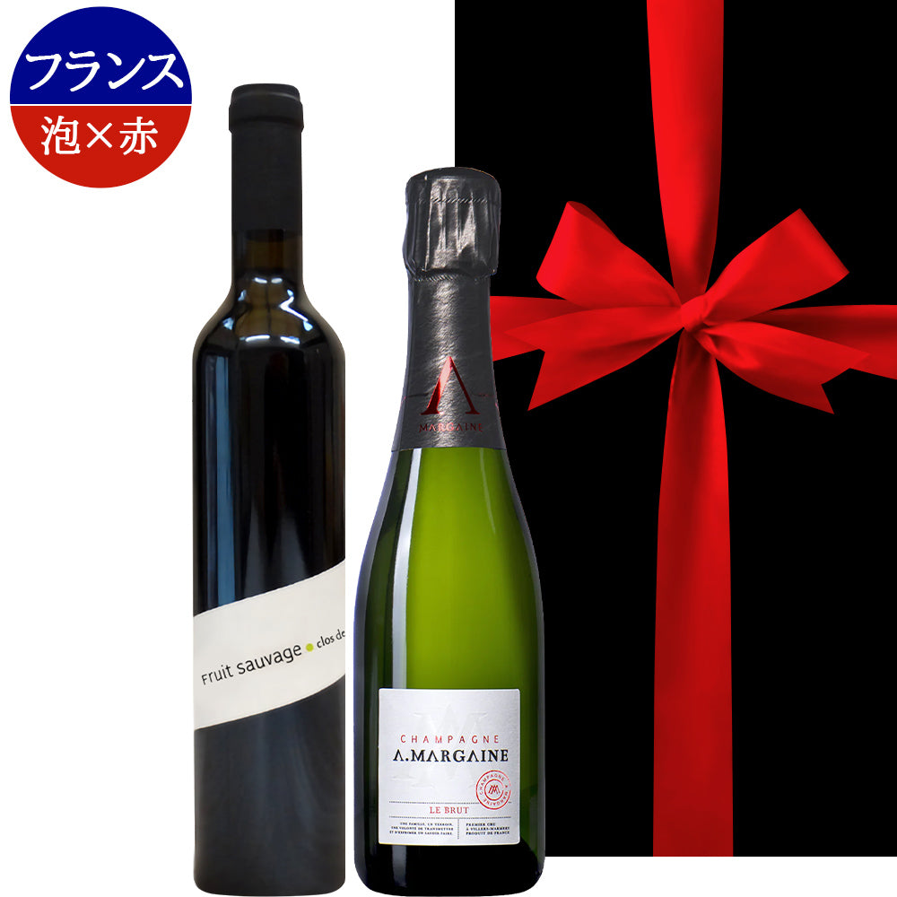 お歳暮 お酒 シャンパン 自然派 赤ワイン 2本 ギフト フランス パーカーポイント高得点 シャンパーニュ プルミエ・クリュ ローヌ オーガニック ビオ BIO 赤 泡 辛口 500ml 375ml ハーフボトル 誕生日 プレゼント クリスマス ワインセット 内祝い お返し 退職祝い