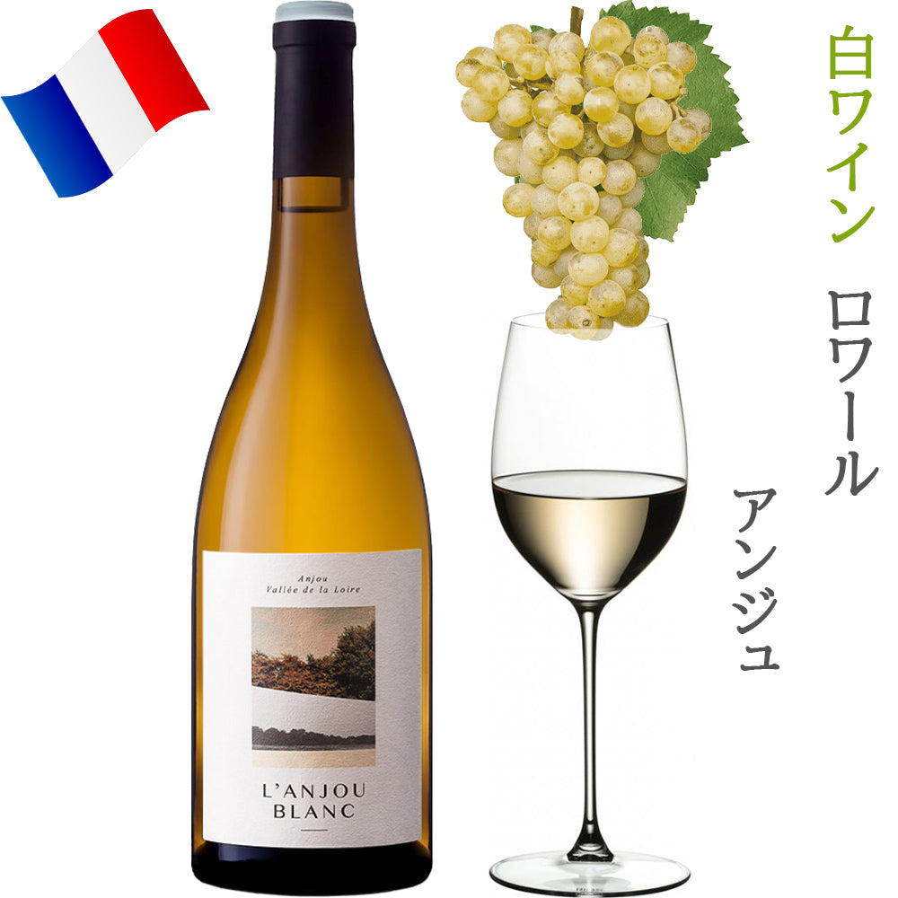 ワイン フランス オーガニック ビオワイン 赤ワイン 白ワイン セット ロワール アンジュ サヴニエール ビオディナミ 辛口 750ml お酒 カベルネ シュナン・ブラン 誕生日 プレゼント 熨斗 内祝い 還暦 退職祝 開店 新築祝い お返し