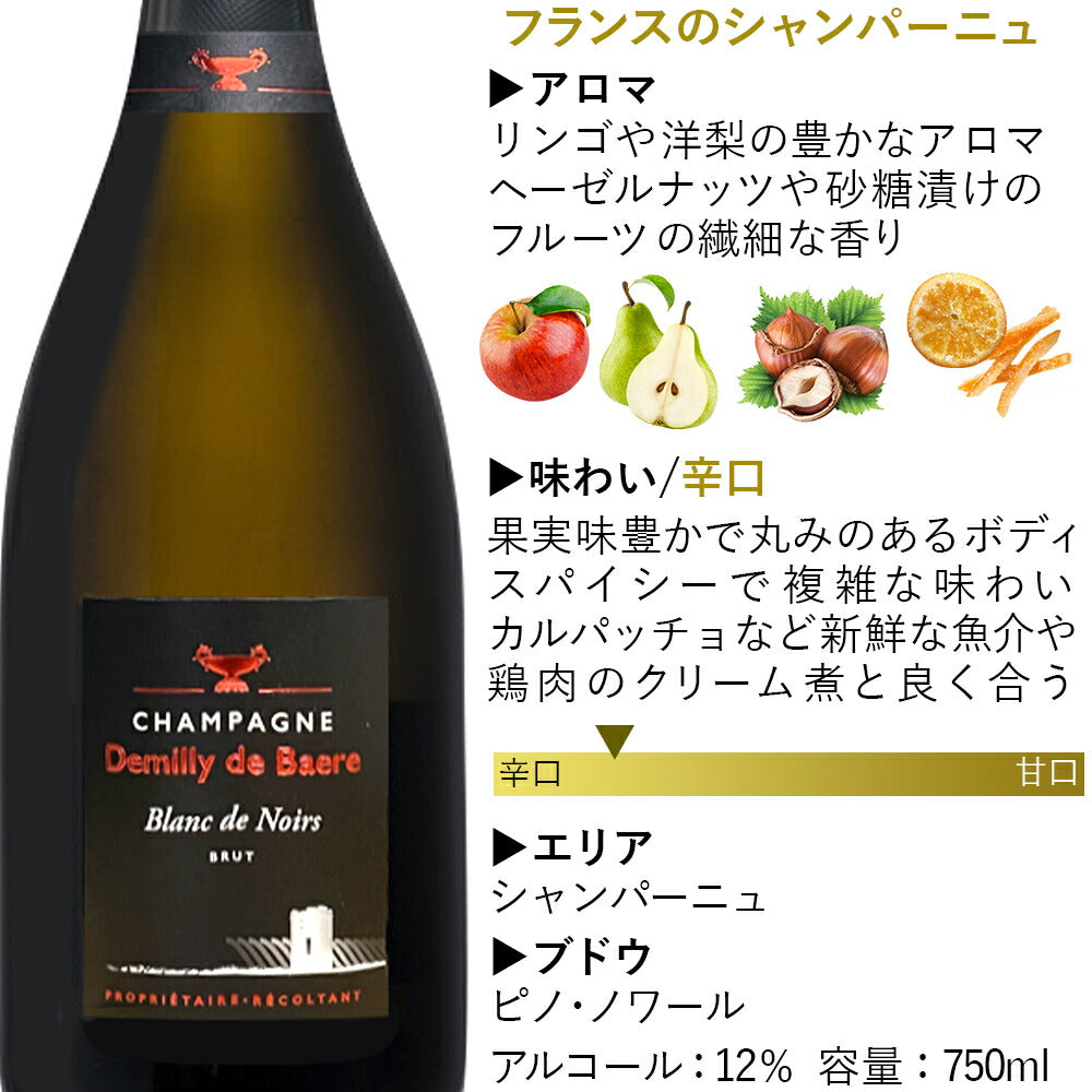 明日届く 高級 シャンパン 2本 セット 辛口 750ml フランス ブラン・ド・ノワール ピノ・ノワール シャルドネ ブリュット 白 ロゼ 紅白ワイン お酒 誕生日 プレゼント 結婚祝い 結婚記念日 会社 法人 就任祝い 退職祝い 熨斗